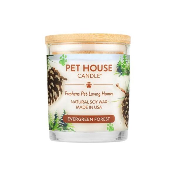 PET HOUSE CANDLE ASSORTED / WINTER