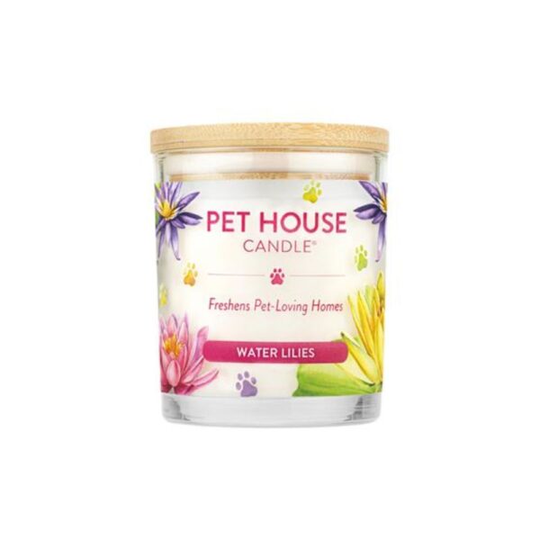 PET HOUSE CANDLE ASSORTED / SUMMER DISPLAY