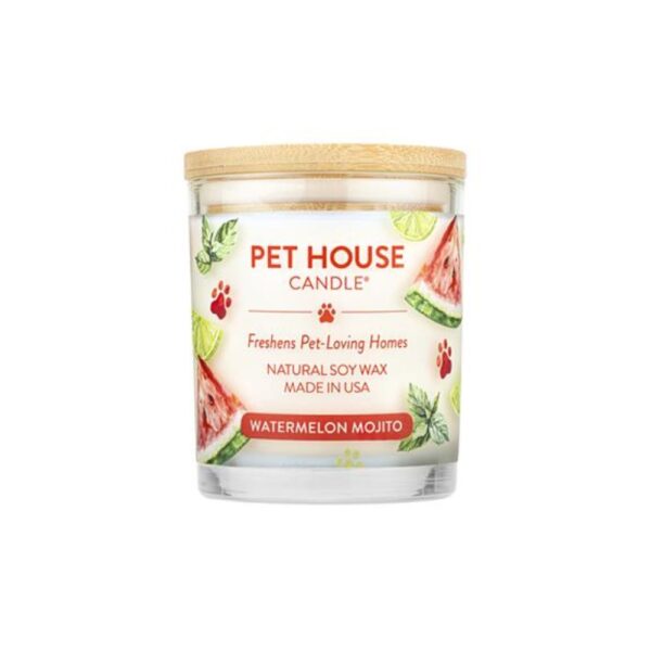 PET HOUSE CANDLE ASSORTED / SUMMER DISPLAY - Image 3