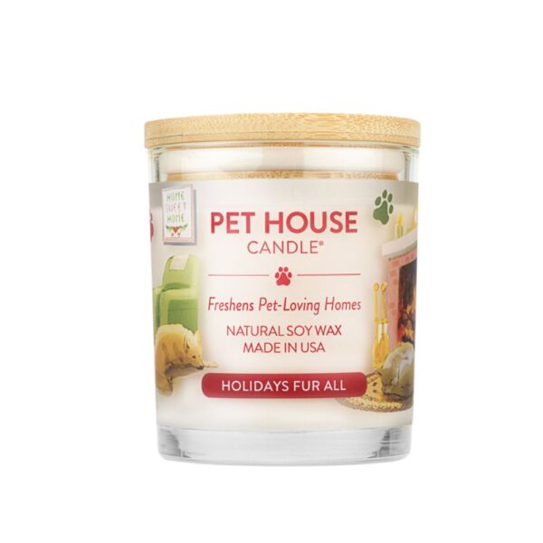 PET HOUSE CANDLE ASSORTED / WINTER - Image 5