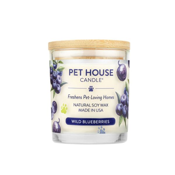 PET HOUSE CANDLE ASSORTED / SUMMER DISPLAY - Image 5