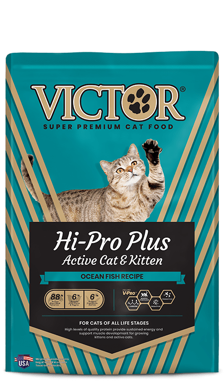 Victor Hi Pro Plus Kitten 5lb