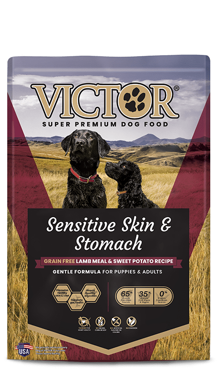 Victor GF Lamb Meal & Sweet Potato Sensitive Skin & Stomach Dog 5lb