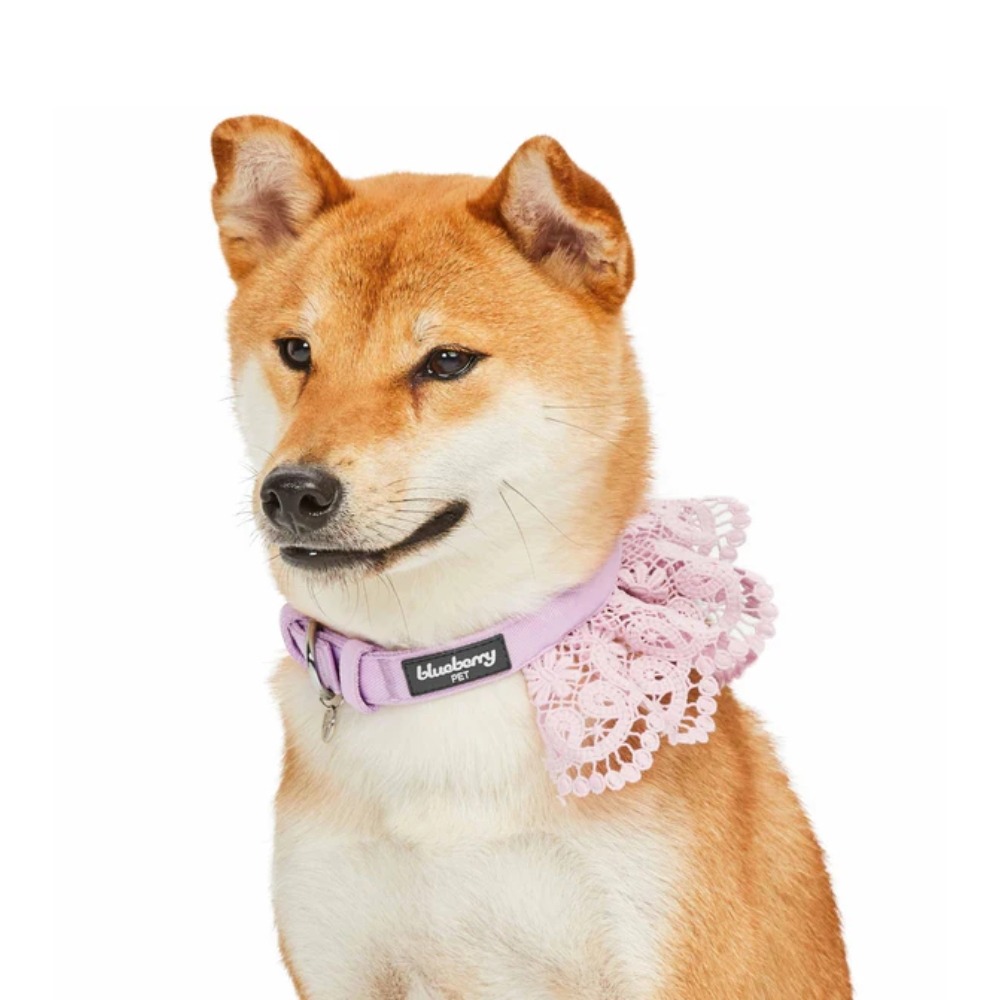 7.Pink Lace Dog Collar Clear 16 Inch 3