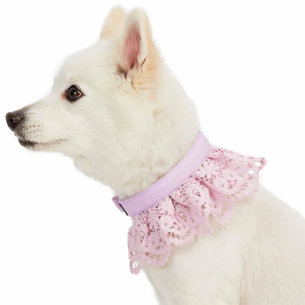 7.Pink Lace Dog Collar Clear 16 Inch FEATURED IMAGE 1