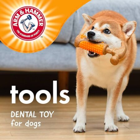 Arm & Hammer 7-Inch Dental Chew Hammer Dog Toy