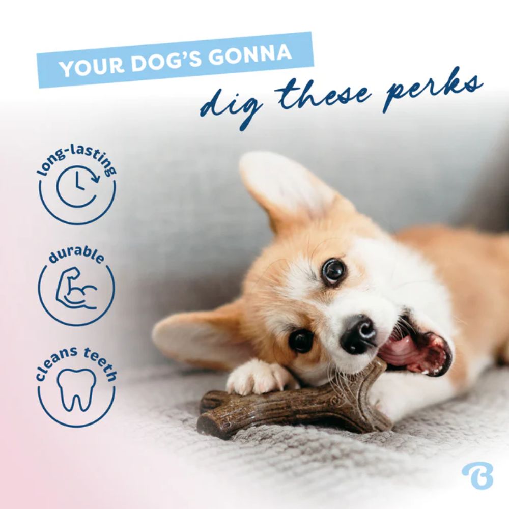 Benebone Bacon Stick Dog Chew Medium 3