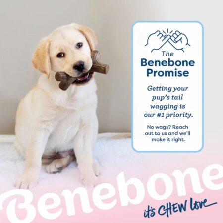 Benebone Bacon Stick Dog Chew Medium