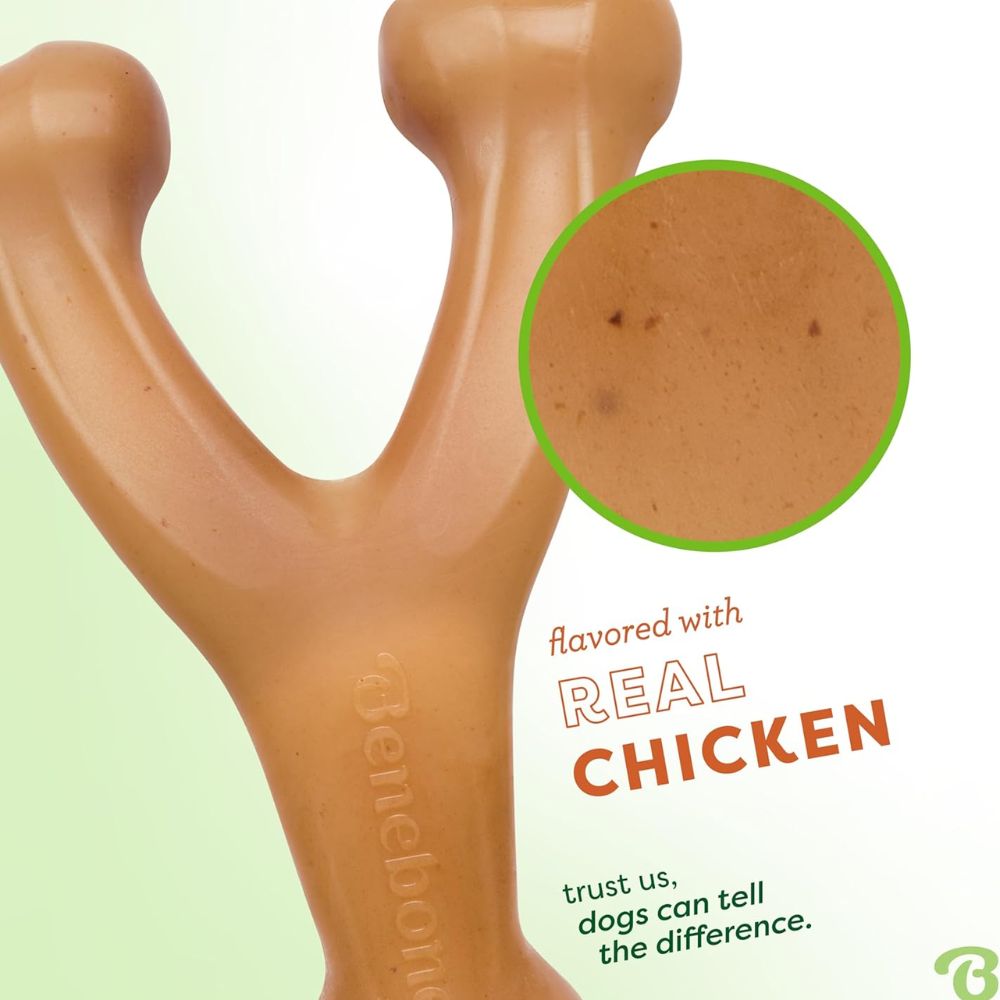 Benebone Wishbone Dog Chew Medium Chicken 3
