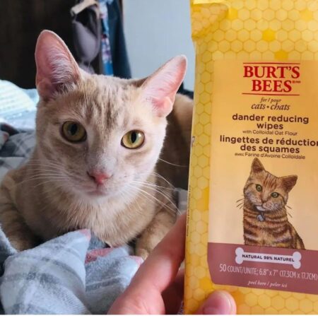 Burt's Bees Cat Dander Reducing Wipes 50 Count
