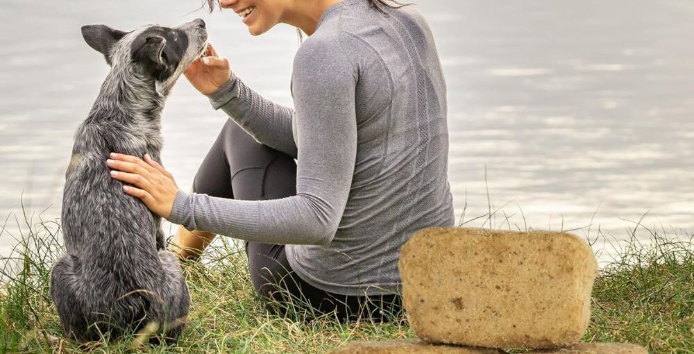 moving to cayman islands with pets