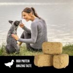 moving to cayman islands with pets